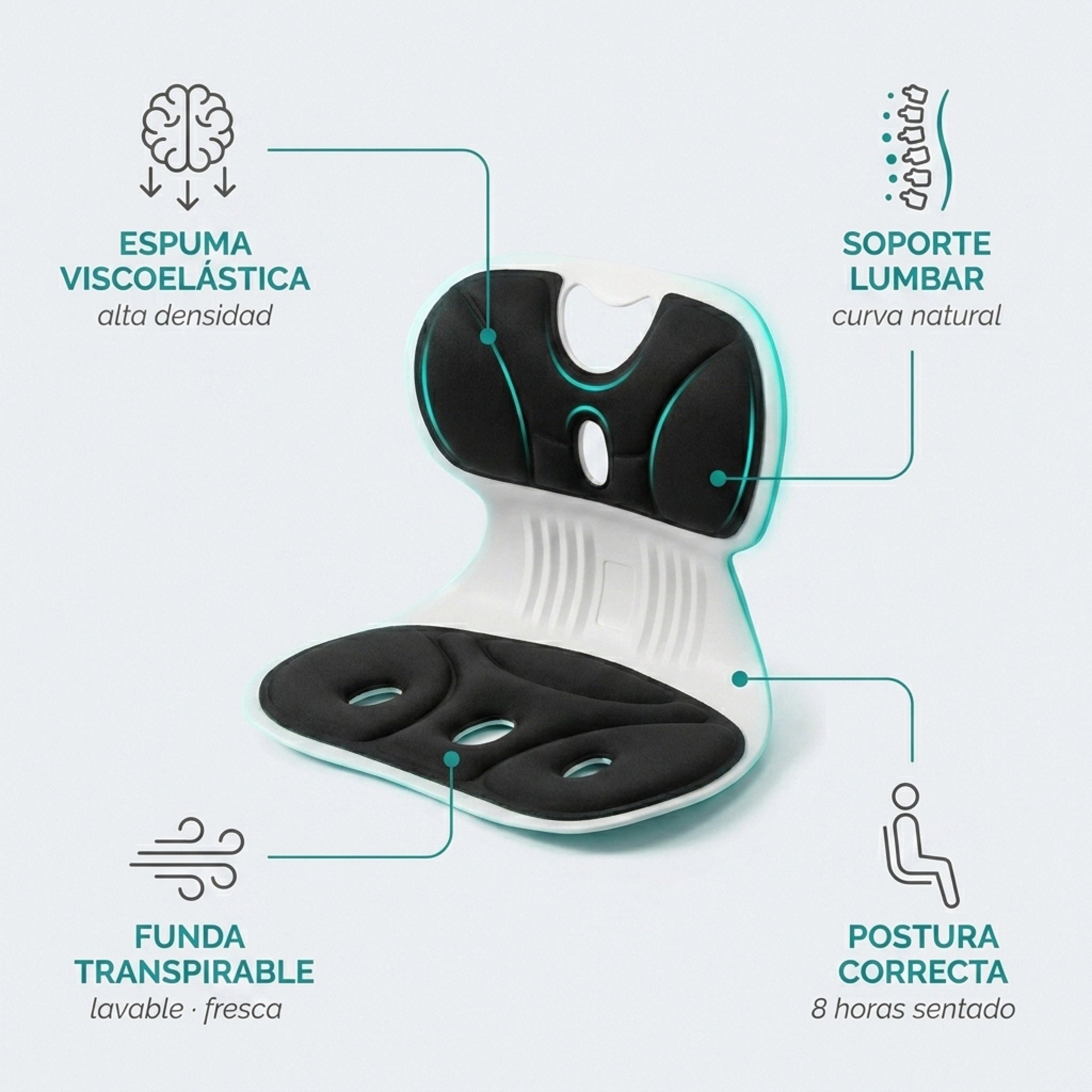 Especificaciones técnicas apoyo lumbar