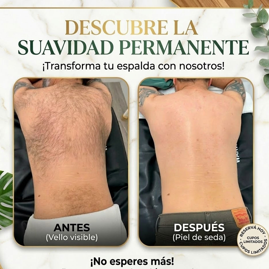 Encabezado