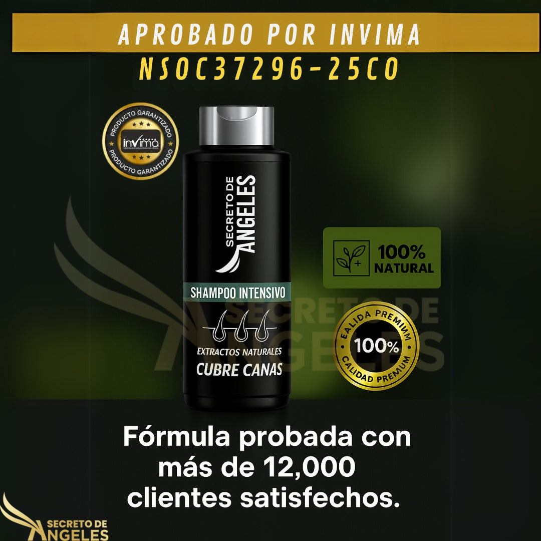 Encabezado