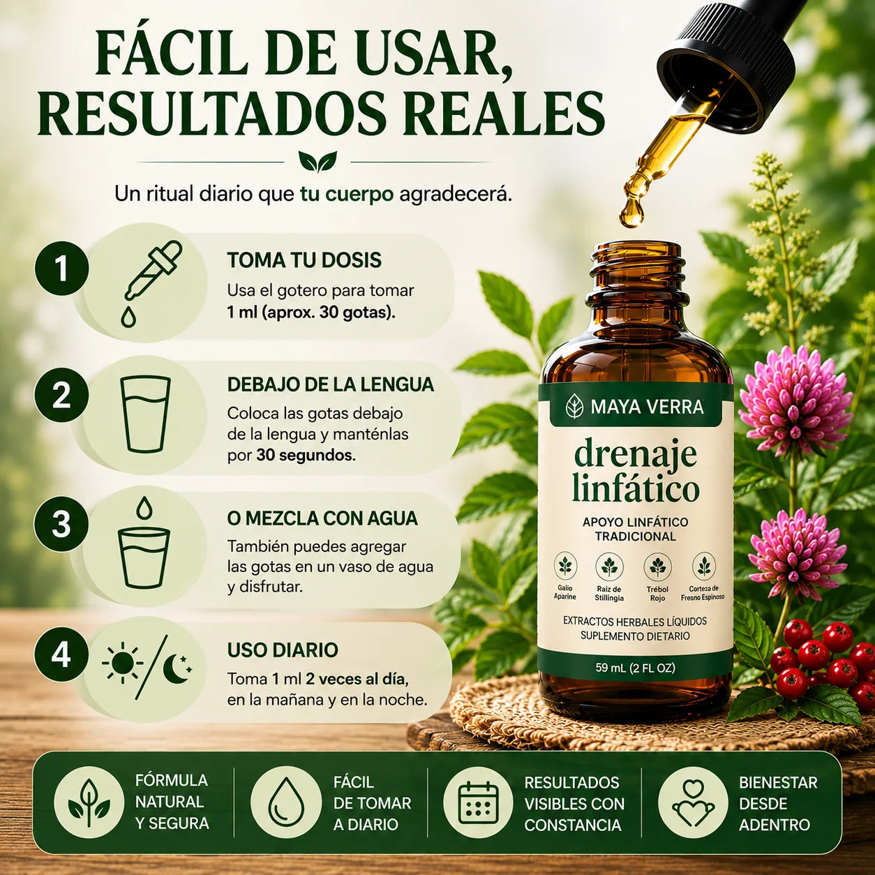 Encabezado