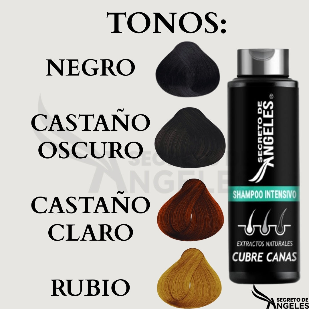Shampoo Cubre Canas Secreto de Ángeles® – Restauración capilar con biotecnología activa + 2 obsequios