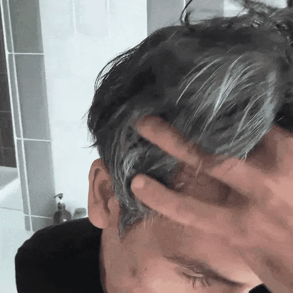 Encabezado