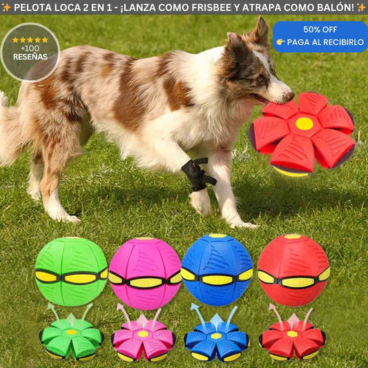 Pelota Loca 2 en 1 - Diversión Interactiva