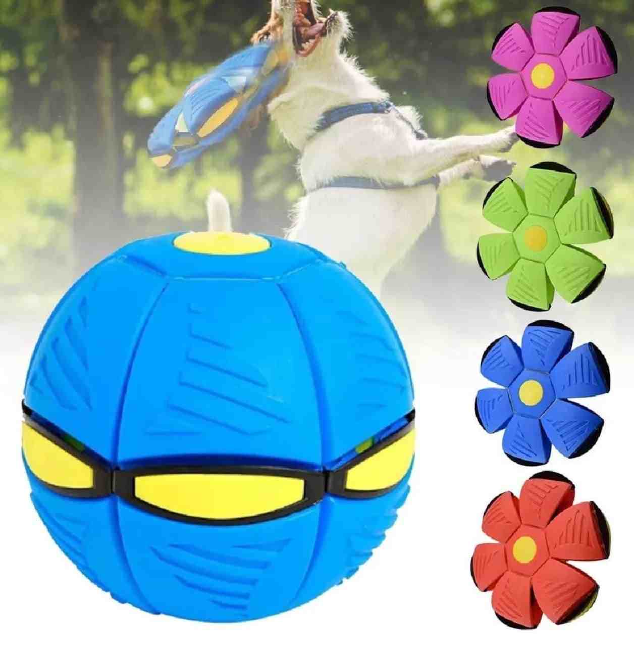 Pelota Loca 2 en 1 - Diversión Interactiva