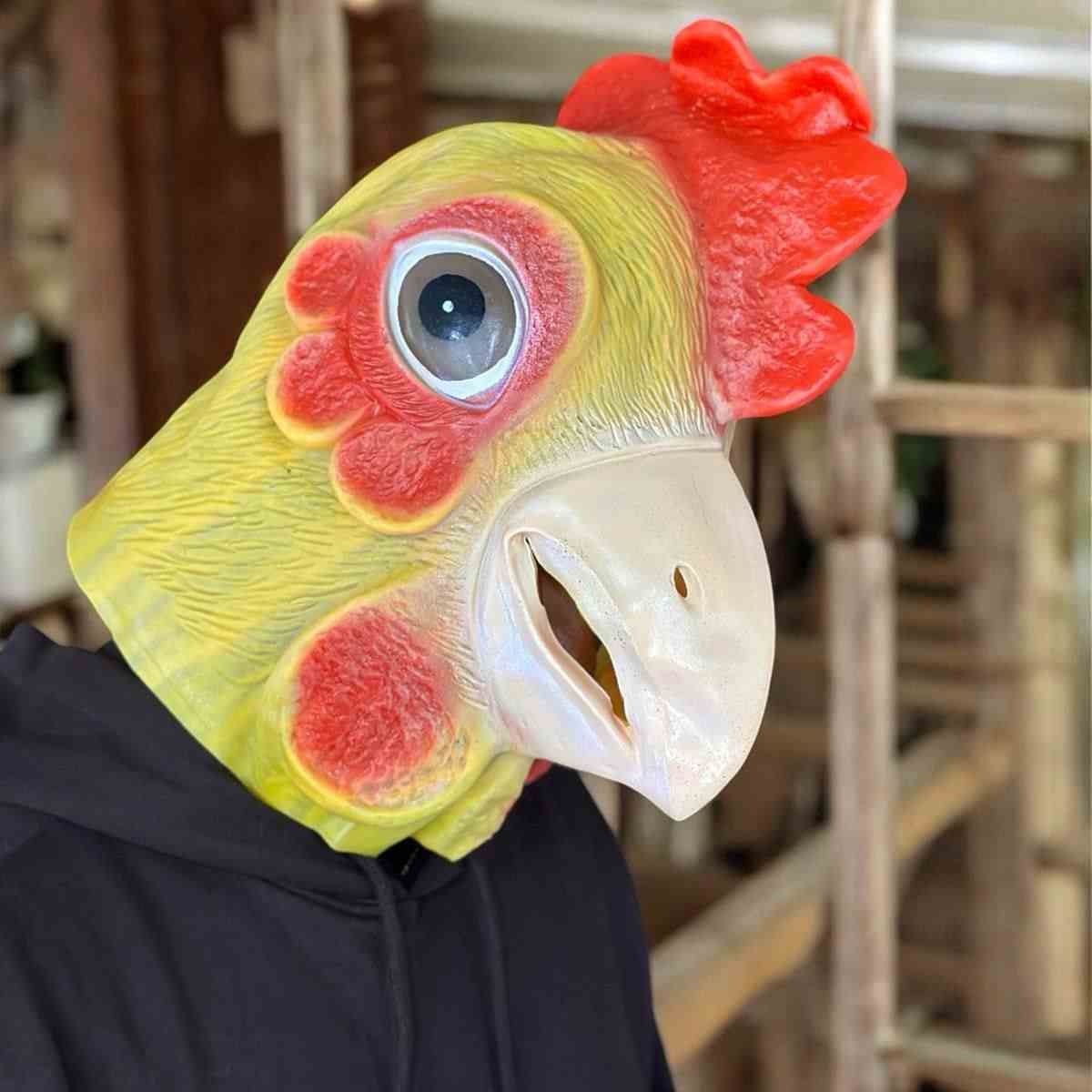 Máscara de Pollo 🐔 – De pasar desapercibido a ser el alma de la fiesta